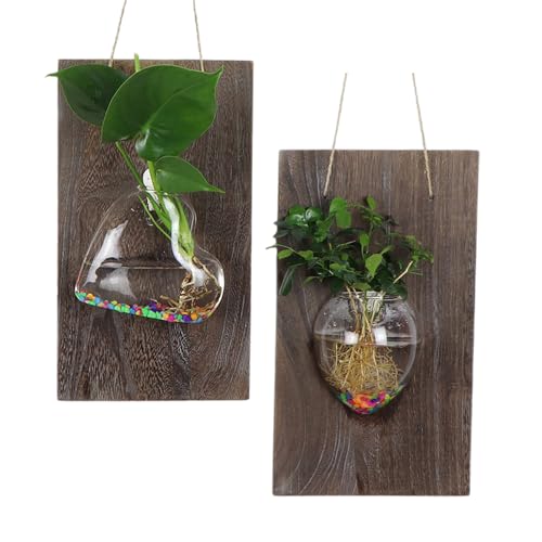 BestAlice 2 Stück Wandmontierte Anzuchtstation, Hängender Glas-Terrarium-Anzuchttopf, Geometrische Vase mit Schnüren für die Anzucht von (Mausvase + Herzvase) von BestAlice