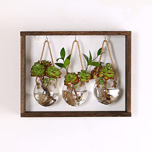 BestAlice Pflanzenzuchtstationen, Hängende Luftpflanze Terrarium mit Holzständer Anzuchtstation, Desktop Pflanzenterrarium für Pflanzgefäß Blume von BestAlice