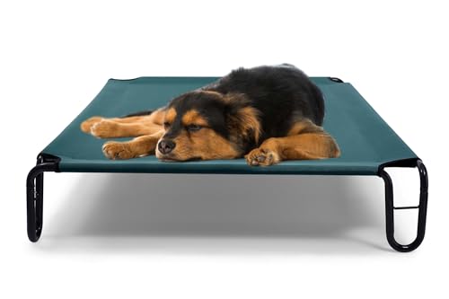 BestVida Erhöhtes Hundebett, 88,9 x 71,1 x 20,3 cm, Größe S, Grün von BestVida