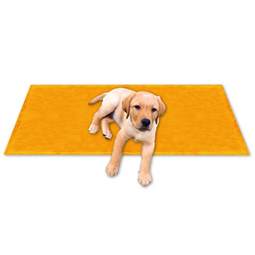 Bestgoodies Tierdecke Haustierdecke Kuscheldecke Hundebett Katzendecke (Kuschel - Supersoft / 60x80 cm/Hellorange - Marigold) von Bestgoodies