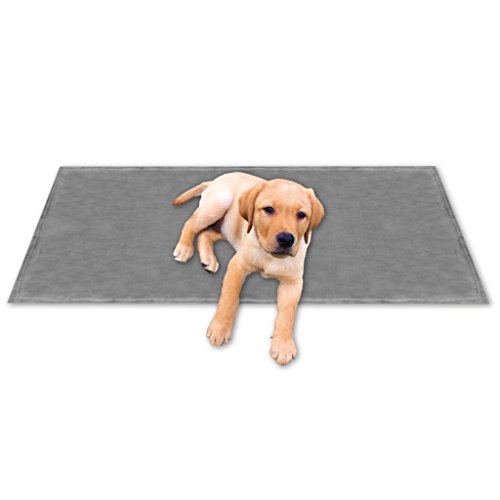 Bestgoodies Tierdecke Haustierdecke Kuscheldecke Hundebett Katzendecke (Kuschel - Supersoft / 60x80 cm/hellgrau - Silbergrau) von Bestgoodies