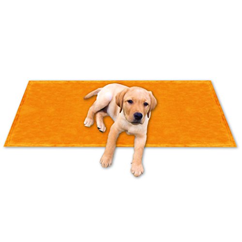 Bestgoodies Tierdecke Haustierdecke Kuscheldecke Hundebett Katzendecke (Kuschel - Supersoft / 60x80 cm/orange - apricot) von Bestgoodies