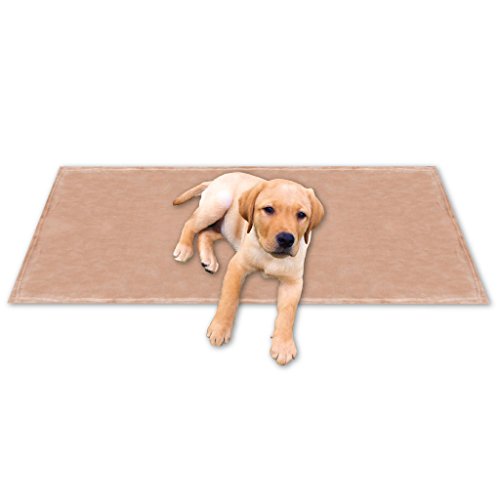 Bestgoodies Tierdecke Haustierdecke Kuscheldecke Hundebett Katzendecke (Kuschel - Supersoft / 60x80 cm/sandbeige - Creme) von Bestgoodies