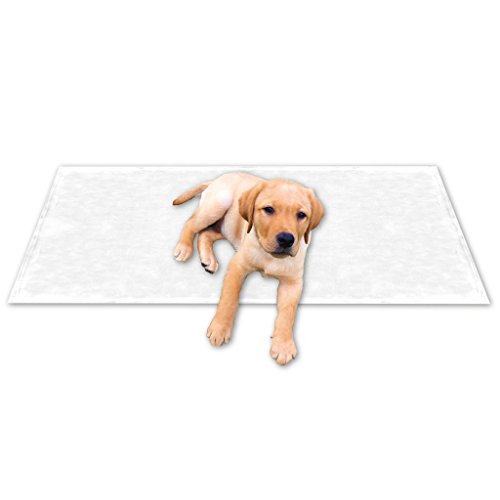 Bestgoodies Tierdecke Haustierdecke Kuscheldecke Hundebett Katzendecke (Kuschel - Supersoft / 60x80 cm/weiß - Champagner) von Bestgoodies