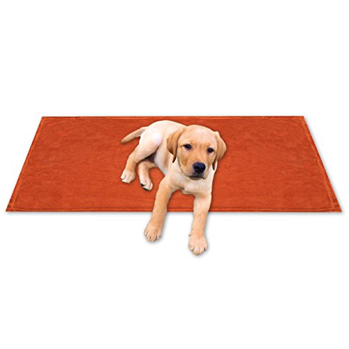 Bestgoodies Tierdecke Haustierdecke Kuscheldecke Hundebett Katzendecke (Kuschel - Supersoft / 70x100 cm/Terracotta - Ochre) von Bestgoodies