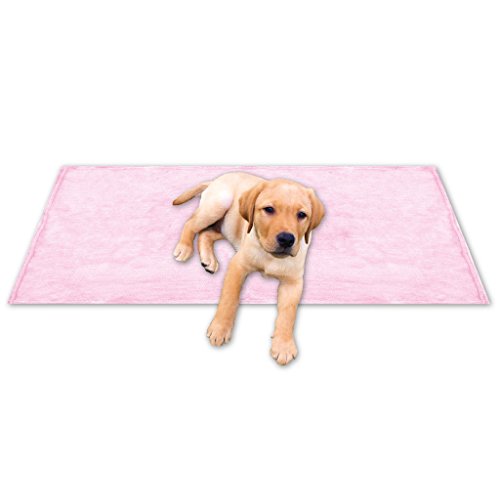 Bestgoodies Tierdecke Haustierdecke Kuscheldecke Hundebett Katzendecke (Kuschel - Supersoft / 70x100 cm/rosa - hellrosa) von Bestgoodies