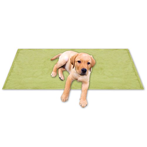 Bestgoodies Tierdecke Haustierdecke Kuscheldecke Hundebett Katzendecke (Kuschel - Supersoft / 80x120 cm/grün - olivgrün) von Bestgoodies