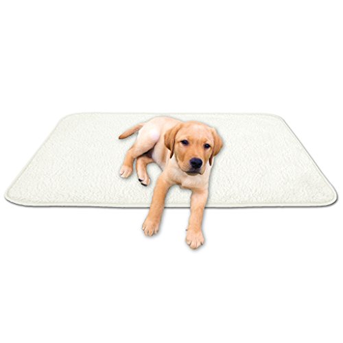 Bestgoodies Tierdecke Haustierdecke Kuscheldecke Hundebett Katzendecke (Lammflor - Design / 70x100 cm/Creme - beige von Bestgoodies