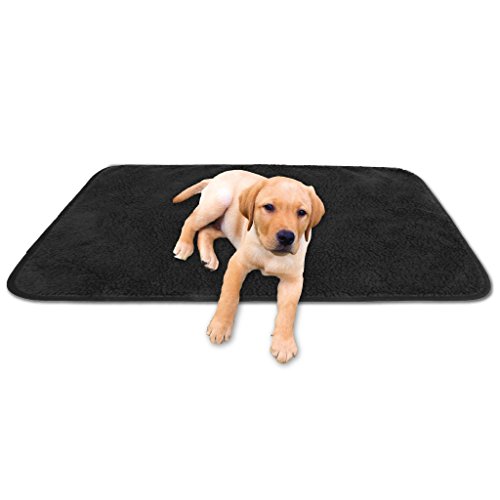 Bestgoodies Tierdecke Haustierdecke Kuscheldecke Hundebett Katzendecke (Lammflor - Design / 70x100 cm/schwarz - Jet Black) von Bestgoodies