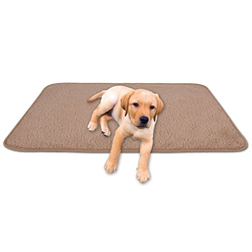 Bestgoodies Tierdecke Haustierdecke Kuscheldecke Hundebett Katzendecke (Lammflor - Design / 90x140 cm/Hellbraun - Nougat) von Bestgoodies