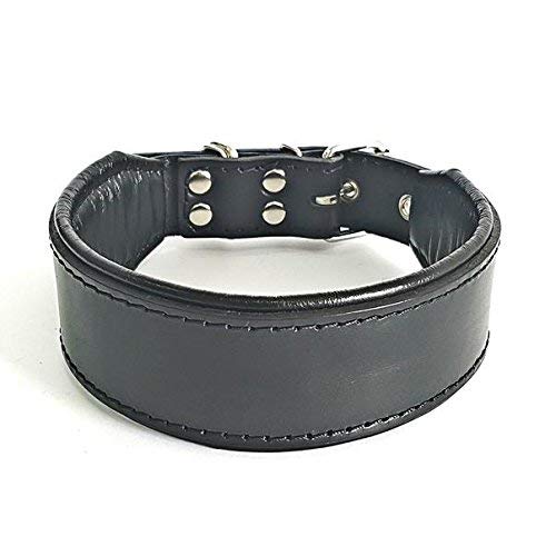 Bestia™ "Classic Echtleder Hundehalsband. 100% Leder. Weich gepolstert. TOP Qualität! von Bestia