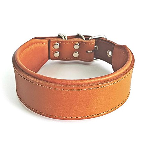 Bestia™ "Classic Echtleder Hundehalsband. 100% Leder. Weich gepolstert. TOP Qualität! von Bestia