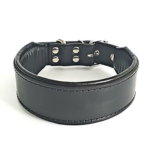 Bestia™ "Classic Echtleder Hundehalsband. 100% Leder. Weich gepolstert. TOP Qualität! von Bestia