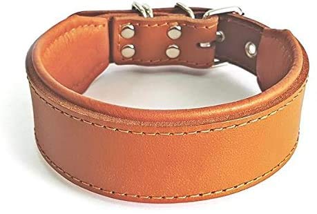 Bestia™ Classic Echtleder Hundehalsband. 100% Leder. Weich gepolstert. TOP Qualität! von Bestia