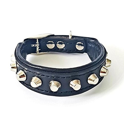 Bestia™ "Rocky Echtleder Hundehalsband mit Stumpfnieten. 100% Leder. Weich gepolstert. TOP Qualität! von Bestia