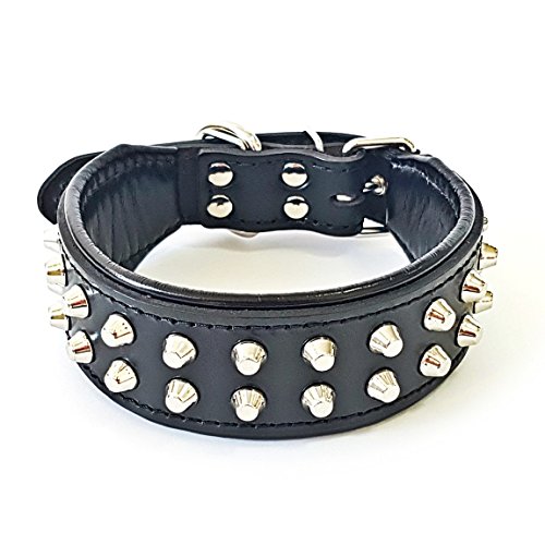 Bestia™ "Rocky Echtleder Hundehalsband mit Stumpfnieten. 100% Leder. Weich gepolstert. TOP Qualität! von Bestia