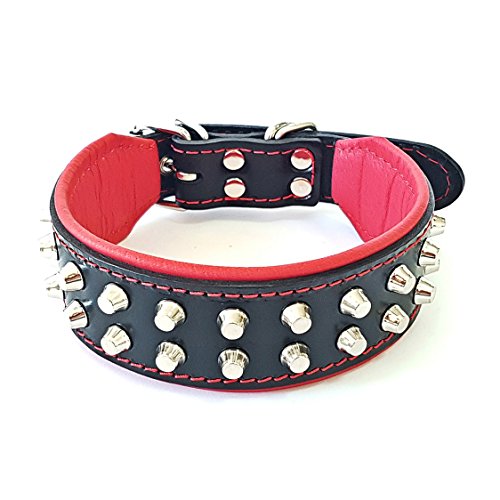 Bestia™ "Rocky Echtleder Hundehalsband mit Stumpfnieten. 100% Leder. Weich gepolstert. TOP Qualität! von Bestia