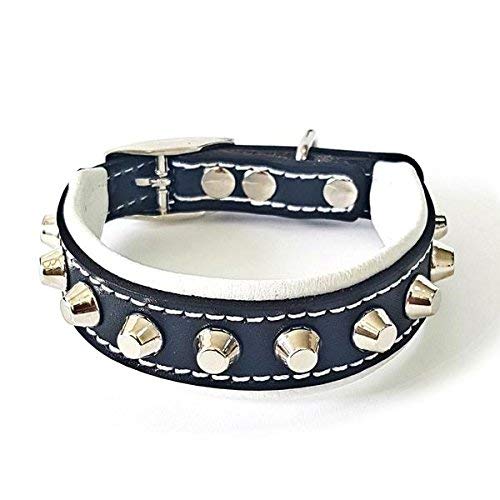 Bestia™ "Rocky Echtleder Hundehalsband mit Stumpfnieten. 100% Leder. Weich gepolstert. TOP Qualität! von Bestia