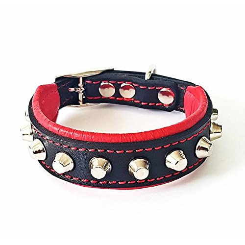 Bestia™ "Rocky Echtleder Hundehalsband mit Stumpfnieten. 100% Leder. Weich gepolstert. TOP Qualität! von Bestia