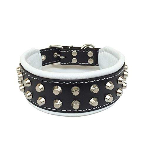 Bestia™ "Rocky Echtleder Hundehalsband mit Stumpfnieten. 100% Leder. Weich gepolstert. TOP Qualität! von Bestia