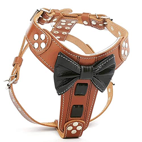 Bestia |Bowtie| Leder Brustgeschirr für Kleine bis Mittelgroße Hunde. 100% Leder. Handgefertigt. Top Qualität von Bestia