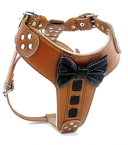 Bestia ''Bowtie'' Leder Brustgeschirr von Bestia