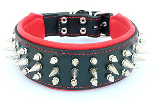 Bestia Danger Echtleder Hundehalsband mit Schraubspitzen und Leder Innenpolsterung. 6,5 cm breit von Bestia