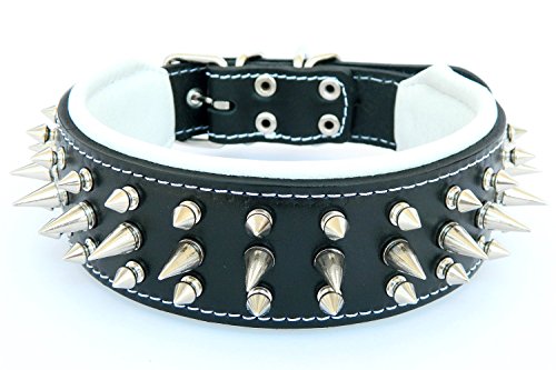 Bestia Danger Echtleder Hundehalsband mit Schraubspitzen und Leder Innenpolsterung. 6,5 cm breit von Bestia