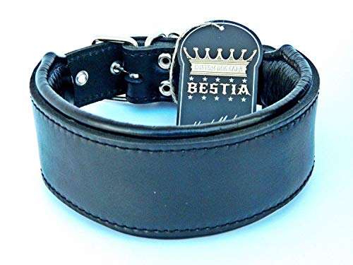 Bestia Echtleder Hundehalsband mit weicher Leder Innenpolsterung. 6,5 cm breit. Passfit. 100% Echtleder. komplett schwarz von Bestia