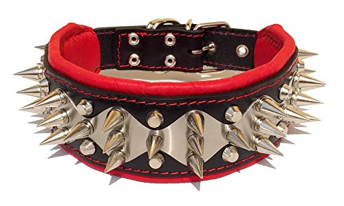 Bestia "Edelstahl Echtleder Hundehalsband mit Schraubspitzen und Edelstahl Dekoration. 6,5 cm breit. Weich gepolstert. Top Qualität von Bestia