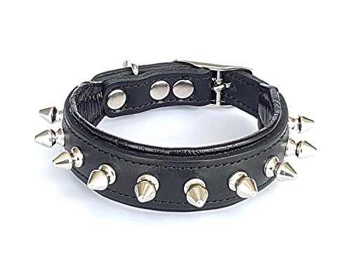 Bestia Spiky Halsband mit stumpfen Schraubspitzen. Für kleine Hunderassen oder Welpen. 2,5 cm breit. Weich gepolstert. 100% Echtleder, innen und außen. Handgemacht in Europa! … von Bestia