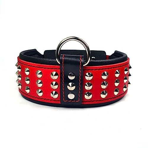 Bestia Star Hundehalsband mit Nieten und Innenpolsterung 6,5 cm Breit. Rot von Bestia