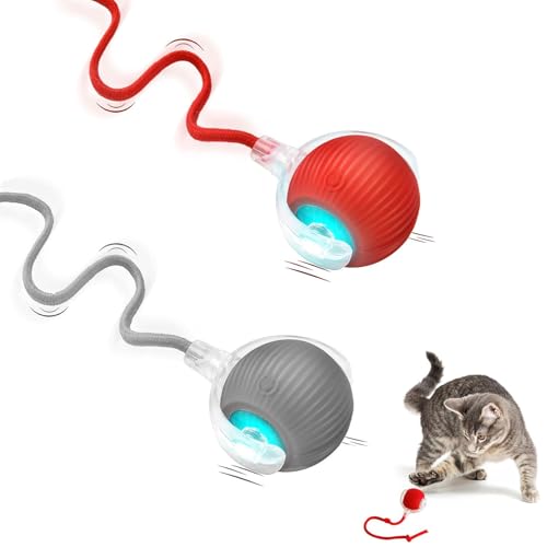 Betensh 2 Stück Katzenspielzeug Elektrisch Katzenball mit LED Licht, Autoscroll Interaktives Katzenspielzeug, Wiederaufladbares Interaktives Ball (Rot + Grau) von Betensh