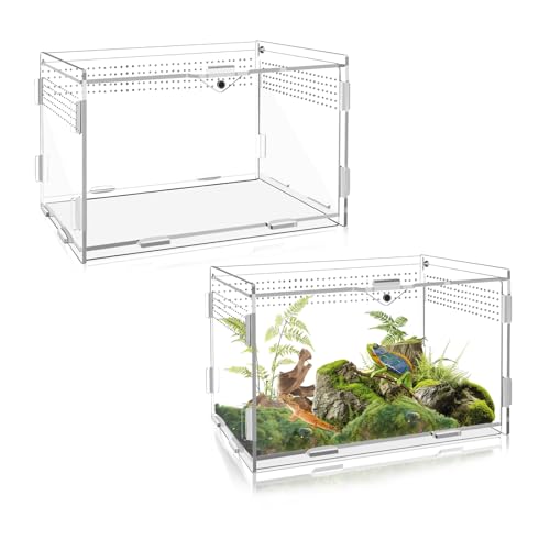 2 Sets Acryl-Zubehör für Reptilien-Tanks, Mini-Spinnengehege, 20 x 12 x 12 cm, Springspinnengehege – Acryl-Terrarium für Vogelspinnen, Reptilien (transparent, 20 x 12 x 12 cm) von Betinyar