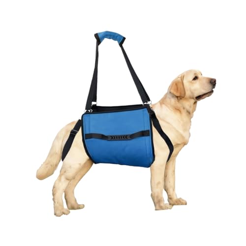 Blue Dog Life Harness 18-26kg Dog Carry Sling, Dog Carry Harness, Dog Sling for Large Dogs Hind Leg Support, Dog Lifter for Large Elderly Dogs, Dog Harness Rear Leg Support (Blue,XL) von Betinyar