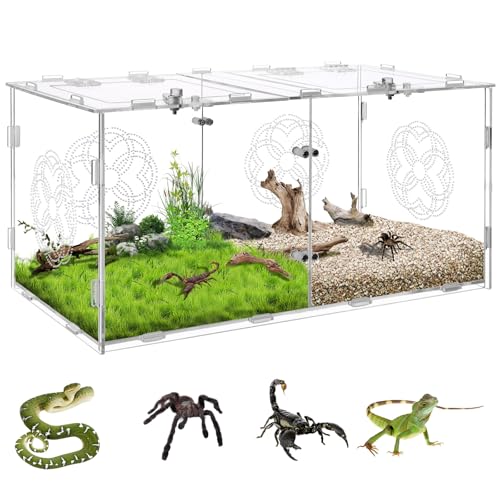 Springspinnengehege aus Acryl mit Doppelfächern, Reptilien-Terrarium Aquarium Zuchtbecken für Reptilien Spinnen Schlange Eidechse (transparent) von Betinyar