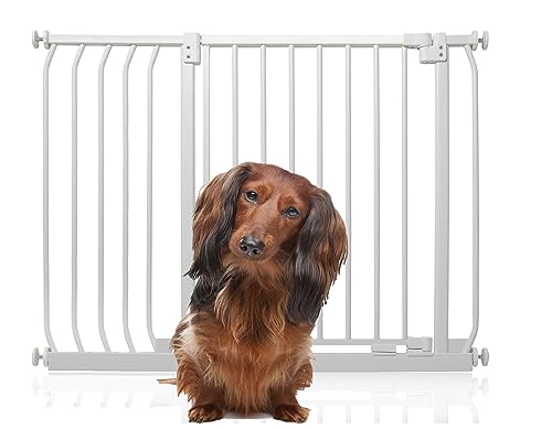 Bettacare Elite Hundegitter, 98cm - 107cm, Matt Weiß, Druckbefestigung Hundegitter für Hunde und Welpen,Barrière Einfache Installation von Bettacare