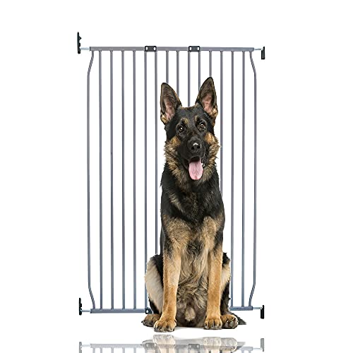 Bettacare Extra hohes Eco Schraubbefestigung Haustiergitter, Grau, 90cm - 100cm, Extra hohes Gitter mit Einer Höhe von 100cm, Schraubbefestigtes Hundegitter, Sicherheitsgitter für Welpen. von Bettacare