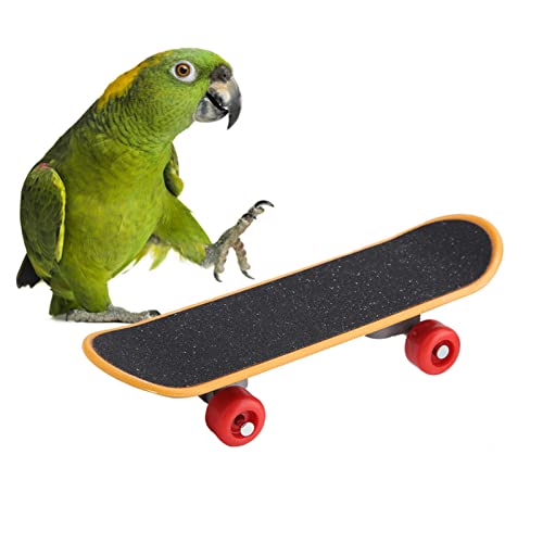 1 Stück Papagei Skateboard Barsch Stand Vogel Lustiges Training Spielen Interaktion Spielzeug von Beufee