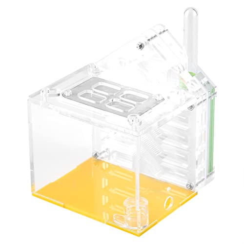 Ameisenfarm, Acryl-Ameisennest, Ameisenhaus, Ameisen-Futterbox, Ameisenzuchtbox, Ameisen-Ausstellungsbox, pädagogisches Formicarium für die Schule zu Hause von Beufee