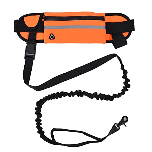 Hände Freistimmung Hundeleine, Taille Leine für Hunde Walking Reflective Strip Design Abnehmbarer Beutel Hunde Leine Taillengürtel zum Gehen (Orange) von Beufee