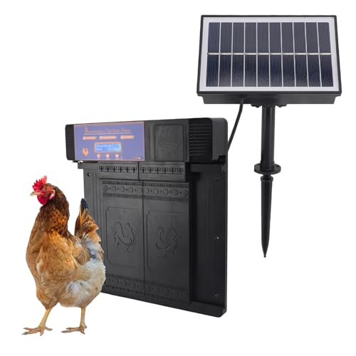 Automatische Hühnertür mit Timer, Solarbetriebenes LED-Display, Doppeltüren, Elektrischer Hühnerstallöffner, Kunststoff, Geeignet für Hühner, Enten, Gänse (-3111240005311) von Bewinner