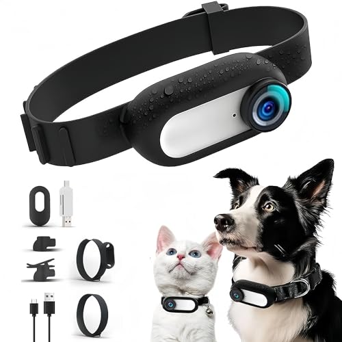 Bewinner Katzen Kamera Halsband, 120° Weitwinkel Haustier Sportkamera mit 0,96 Zoll LCD-Bildschirm, HD 1080P Multifunktionaler Haustier Katzen Tracker für Videoaufzeichnungen, weiß von Bewinner