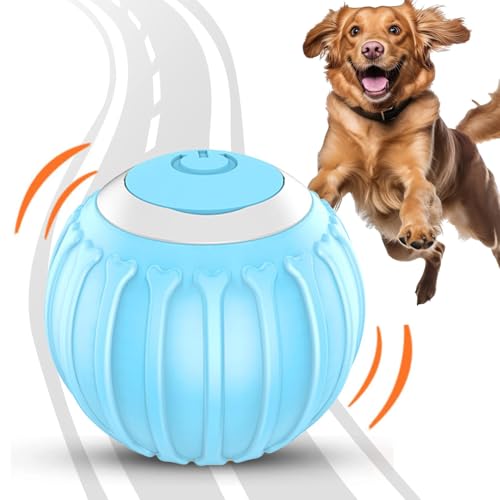 Bexdug Beweglicher Ball für Hunde, Bewegliches Hundespielzeug für kleine Hunde - Aktiv bewegliches elektrisches Hundespielzeug - 360 Grad drehbares, bewegungsaktiviertes, automatisch rollendes von Bexdug