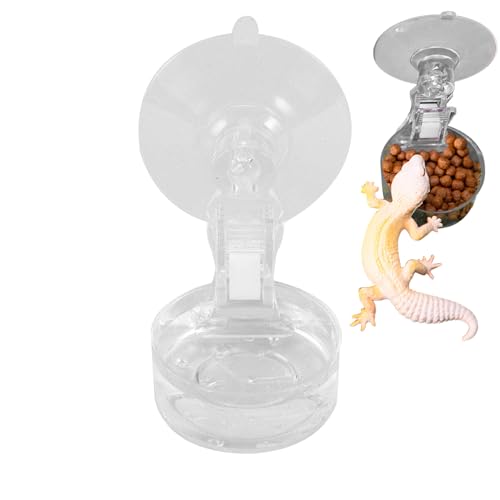 Bexdug Futternapf - Haftender Terrarien Futternapf mit Saugnapf,Praktischer Napf Für Tierfütterung, Trinken & Einfache Reinigung Im Wohnzimmer, Garten Und Balkon Bexdug Futternapf - Haftender Terrarien Futternapf mit Saugnapf,Praktischer Napf Für Tierfütterung, Trinken & Einfache Reinigung Im Wohnzimmer, Garten Und Balkon von Bexdug