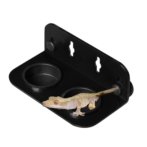 Bexdug Gecko Fütterungsschüssel - Gecko Futternapf Mit Doppelschale Und Saugnapf - Leichter Fressnapf Für Frösche Leopardgeckos Landeinsiedlerkrebsen Chamäleons Bexdug Gecko Fütterungsschüssel - Gecko Futternapf Mit Doppelschale Und Saugnapf - Leichter Fressnapf Für Frösche Leopardgeckos Landeinsiedlerkrebsen Chamäleons von Bexdug