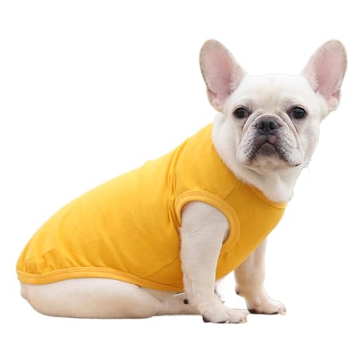 Bexdug Haustierweste, Hundeweste | Weiche Weste für kaltes Wetter, warmes Sweatshirt, Welpenkleidung - Warme Sweatshirt-Hundejacke, modische Pullover-Hundejacke für kaltes Wetter von Bexdug