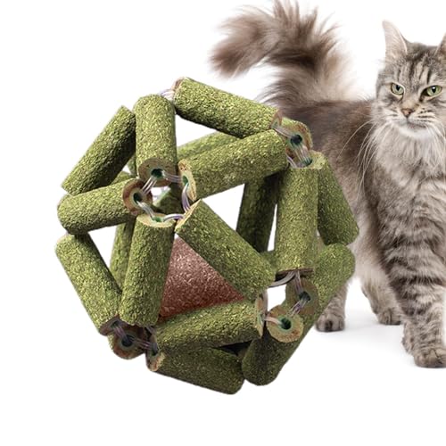 Bexdug Katzen-Katzenminze-Spielzeug,Katzenminze-Ball-Spielzeug | Natürliche Silvervine Stick Cage Balls - Bissfestes, sicheres Kauspielzeug für Katzen, Käfigbälle, Katzenminze-Ballspielzeug für alle von Bexdug