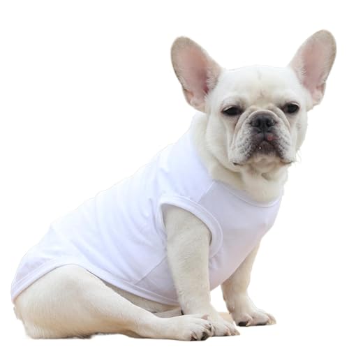 Bexdug Kleine Hundewesten-Kleidung,Hundewesten-Kleidung,Weiche Weste für kaltes Wetter, warmes Sweatshirt, Welpenkleidung | Warme Sweatshirt-Hundejacke, modische Pullover-Hundejacke für kaltes Wetter von Bexdug