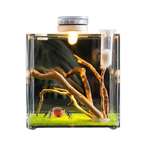 Bexdug Kleines Haustiergehäuse, Reptilienwachstum Terrarium,Acrylterrarium zum Springen von Spinnenwachstum - 360-Grad-transparente Kleinprobe Träger für Eidechsen, Käfer, Schildkröten, Schnecken von Bexdug